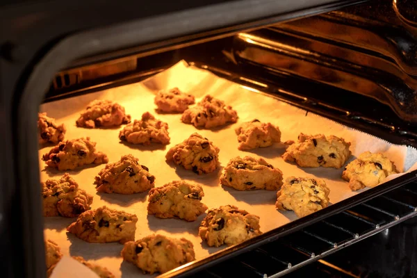 Cooked cookies with chocolate and walnut.