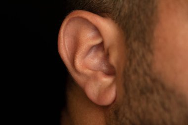 Close up photo of a man s ear with brown skin.