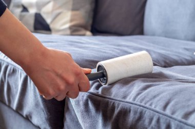 Sticky lint roller and cat hairs