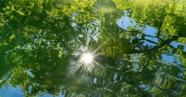 Nahaufnahme Von Welliger Wasseroberfläche Mit Baum Himmels Und Sonnenreflexion Konzept — Stockfoto