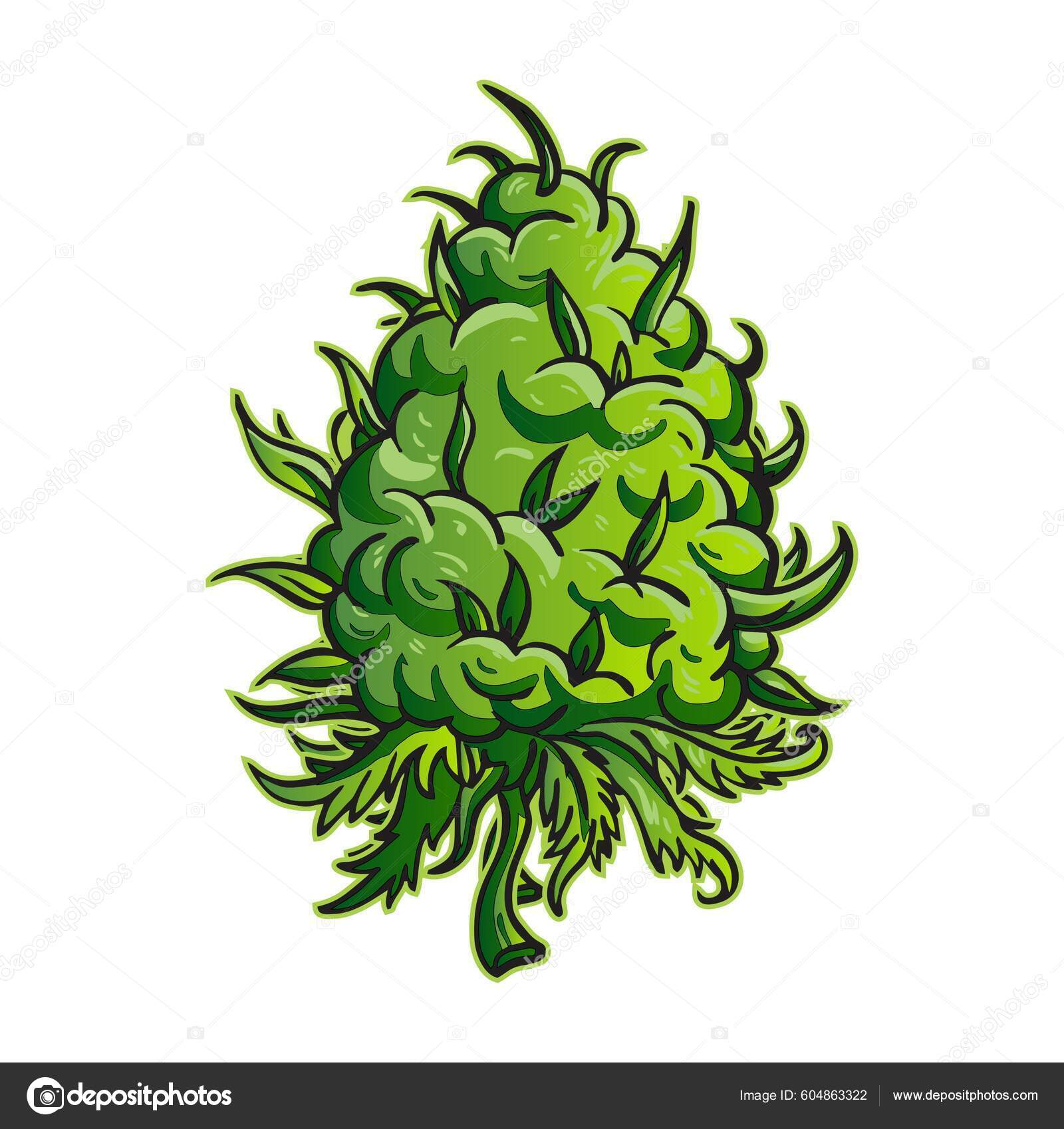 Plant Cannabis Bud Flower Vector Editable Stock Vector by ©DuGuiArt
