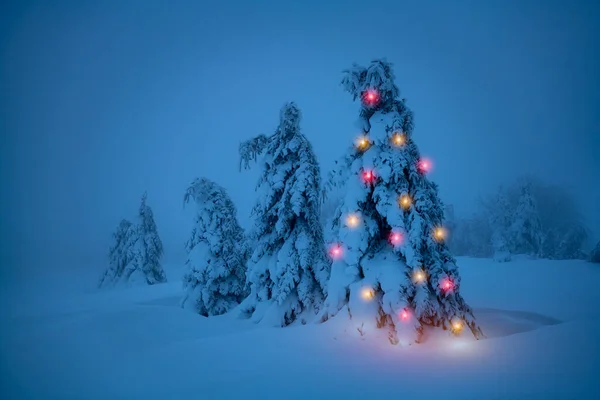 クリスマスライトに照らされた木 新緑に覆われた風景の中のクリスマスツリー — ストック写真