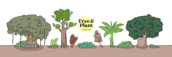 Isolated Tree and Plant Collection. Hand drawn various tree illustration.