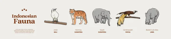 Μεμονωμένα Χέρια Που Ινδονησιακά Ζώα Εικονογράφηση — Διανυσματικό Αρχείο