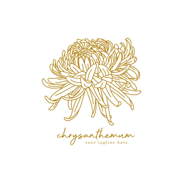 Chrysantemum logo, flower logo handdrawn. Classic logo for beauty, yoga business.