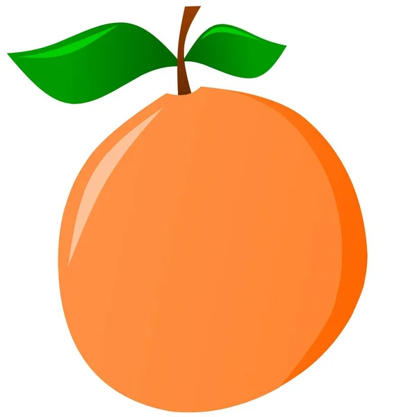 주황색 일러스트 아이콘 비즈니스 디자인 장식을 오렌지 — 스톡 벡터