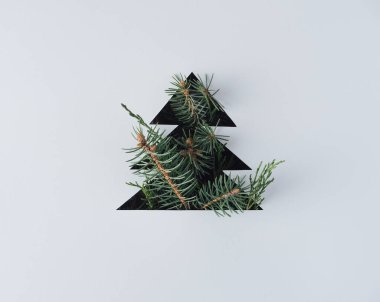 Beyaz arka plandaki köknar dallarının Noel ağacı sembolü. Daima yeşil ağaç dalları olan yaratıcı kış düzeni. Düz doğa kavramı