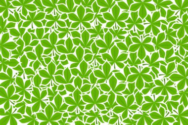Vector seamless green leaves pattern. Vector illustration eps