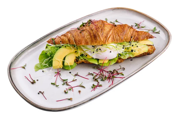 Croissant Benedict Salmon Poched Egg Served Fresh Salad — Foto de Stock