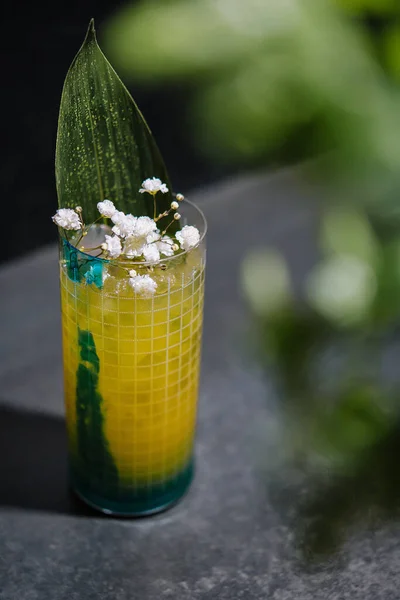 Refreshing Drink Made Elder Flowers — Stock Photo, Image