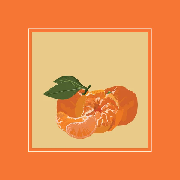 Mandarin Illustration Design Vector — Διανυσματικό Αρχείο
