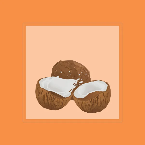 Coconut Illustration Design Vector — Vettoriale Stock