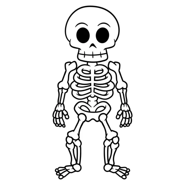 Vector Cartoon Skeleton White Background — Image vectorielle