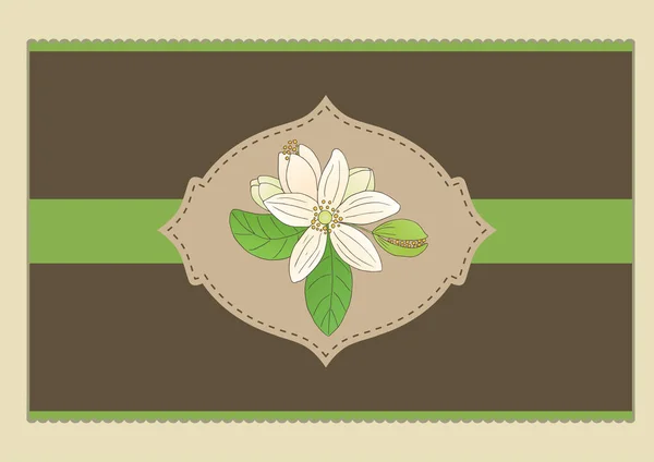 Vector Graphic Flyer Card Sticker Template Citrus Bergamia Flower — Stock Vector