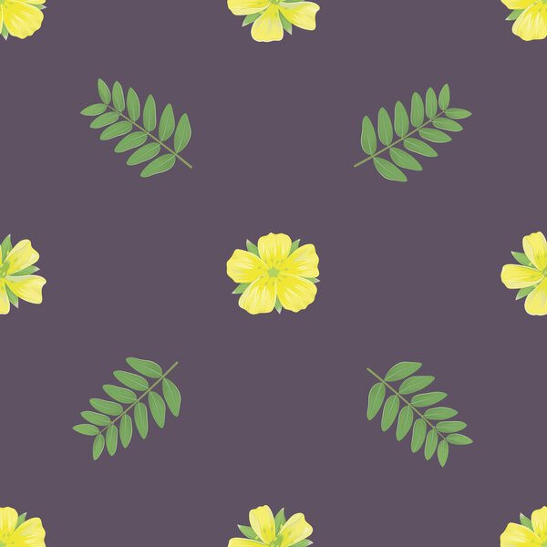 Medicinal herbs collection. Vector botanical seamless pattern of a plant Tribulus Terrestris on a dark backround