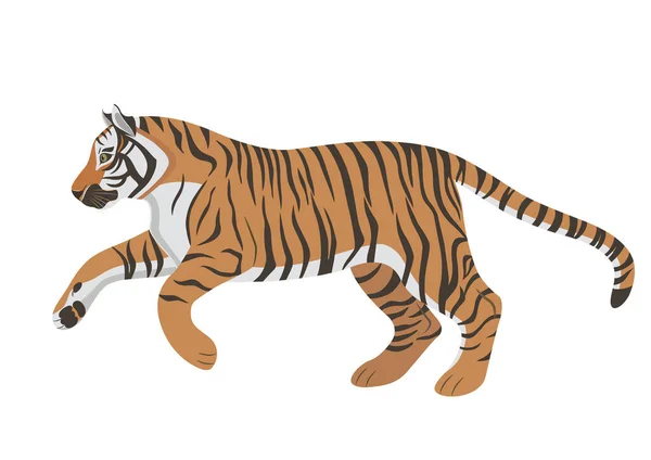 Grand tigre sautant sauvage sur la chasse — Image vectorielle