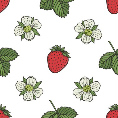 Fruits and vegetable collection. Vector graphic seamless pattern with strawberry plant. Flowers, berries and leaves on a white background
