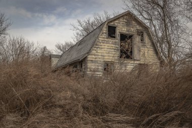 Abandoned barn hidden in the undergrowth