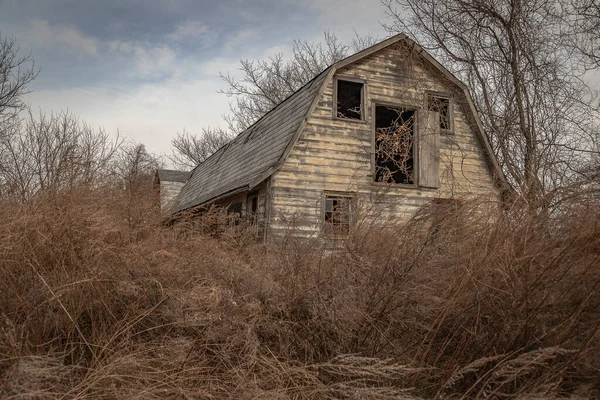 Abandoned Barn Hidden Undergrowth — Zdjęcie stockowe