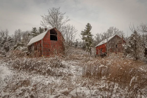 Abandoned barns on a snowy winter morning
