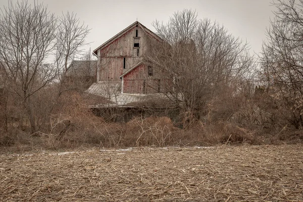 Abandoned Barn Hidden Trees — Zdjęcie stockowe
