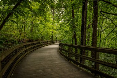 A footbridge along the Monticello Trail in Virginia