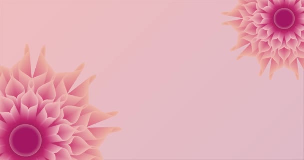 Floral Αφηρημένο Φόντο Λουλούδια Sakura — Αρχείο Βίντεο