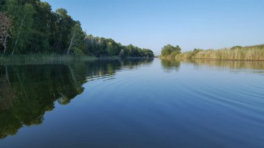 a beautiful landscape with a view of the lake on the water surface of which there is a row of waves, and near the shore there is a grove of birches