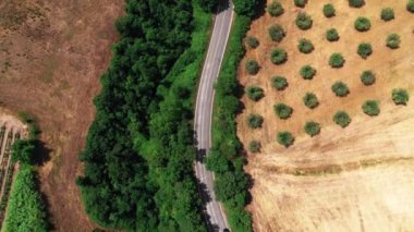 Toskana kırsalının havadan görünüşü yaz zamanı insansız hava aracıyla çekiliyor. Güneşli havalarda, kurak buğday tarlalarında, yeşil ağaçlarda, zeytin ağaçlarında muhteşem bir ülke manzarası. 