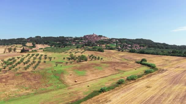 Toskanische Landschaft, aufgenommen mit Drohne zur Sommerzeit. Luftaufnahme von erstaunlichen Weinfeldern Land bei sonnigem Wetter, trockenen Feldern, grünen Bäumen, Olivenbäumen — Stockvideo