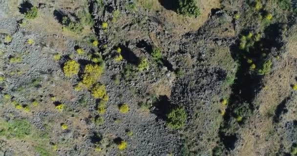 Letecký Pohled Sicílii Letoun Vyprahlého Terénu Poblíž Sopky Etna Vysoce — Stock video