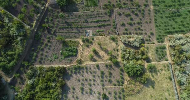 Vista aérea de los campos de campo en Sicilia, escena rural durante la puesta del sol. Aerial view drone shot of agricultural fields in Salina. Campo siciliano en el interior de la isla de Salina. — Vídeos de Stock