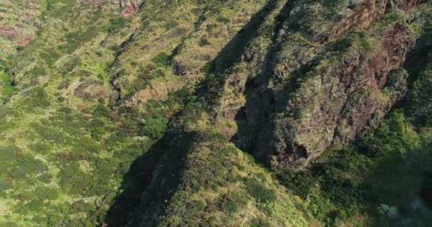 Bovenaanzicht vanuit de lucht. Vroeg in de zomer in het bos, maritieme dennen in het achterland bergen van Sicilië. Droge weide en moeilijke weersomstandigheden. — Stockvideo