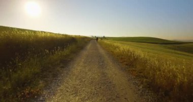 Adam off-road yolunda koşuyor. Patika tarafında yüksek ağaç var. Tuscany 'de gün batımında araba yoldan çıkıyor.