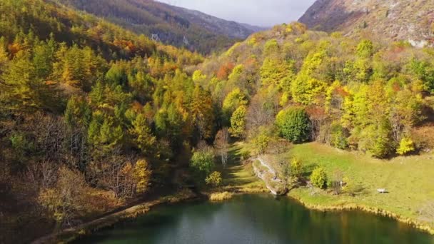 Mavi göl ve yeşil ormanların havadan görünüşü. Bir dağ ormanı gölünde, çam ağaçlarıyla birlikte turkuaz su. Dağ ormanı arasındaki göl manzaralı. Kristal berrak dağ gölü suyunun üzerinde. Temiz su. — Stok video