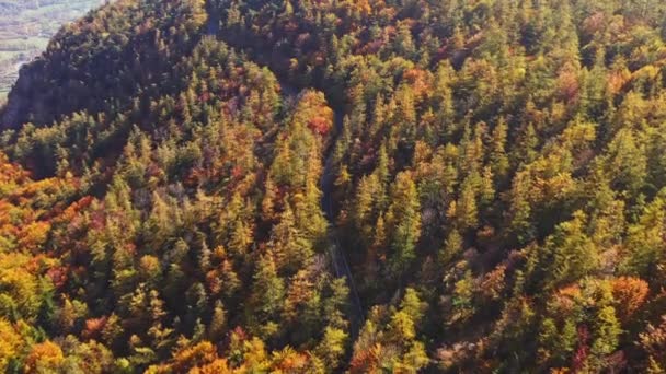 Vue aérienne d'une belle forêt d'automne, arbres colorés d'automne, chaîne de montagnes en arrière-plan, arbres d'automne dans la vallée de montagne, nuages au sommet des montagnes