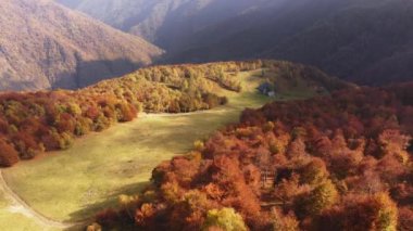 Güzel sonbahar ormanlarının hava manzarası, renkli sonbahar ağaçları, arka planda sıradağlar, dağ vadisindeki sonbahar ağaçları, dağların tepesindeki bulutlar.