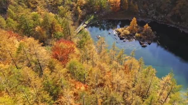 Letecký pohled na horské jezero s borovým lesem kolem, ve středním ostrůvku s borovicemi a skalami, jako je Kanadské jezero. — Stock video