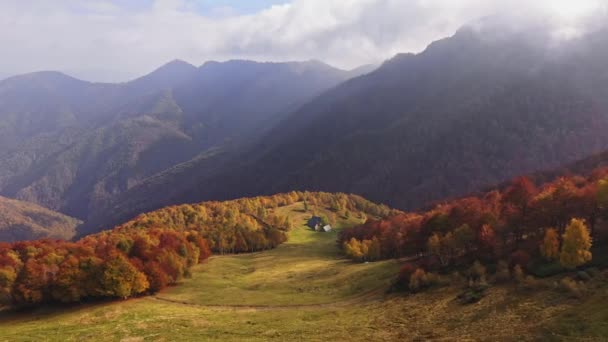 Αεροφωτογραφία του όμορφου φθινοπωρινού δάσους, χρωματιστά δέντρα φθινοπωρινά χρώματα, οροσειρά στο παρασκήνιο, φθινοπωρινά δέντρα στην κοιλάδα του βουνού, σύννεφα στην κορυφή των βουνών — Αρχείο Βίντεο