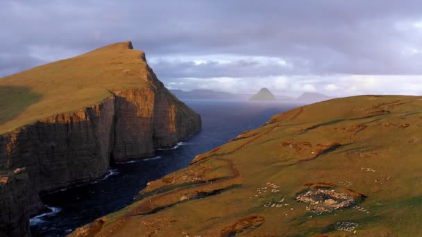 Vista aérea de la extensión dorada de la tierra durante la puesta del sol. Antecedentes de acantilado en las Islas Feroe, mar azul e islas en un sugerente video de drones. — Vídeo de stock