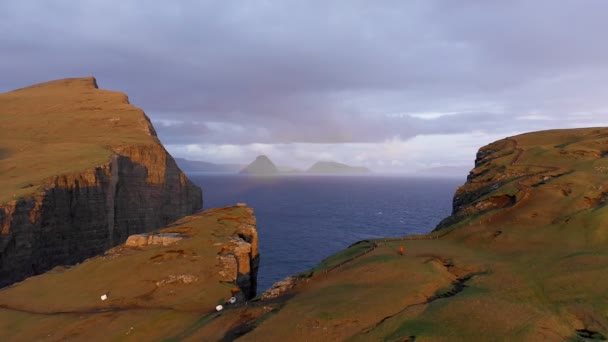 日没時の土地の黄金の広がりの空中ビュー。ファロー島、青い海と島の崖の背景を示唆的なドローンビデオ. — ストック動画