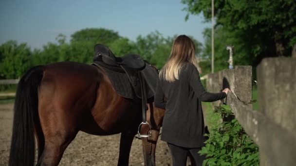 Közelkép egy nőről, aki a lovát a kötélnél fogva simogatja a nyakát. Szőke nő és barna lova áll egy lovas iskolában naplementekor. — Stock videók