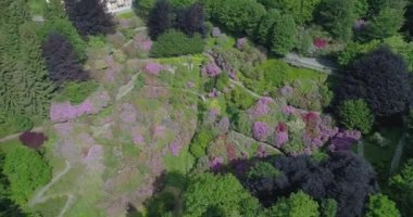 Çiçek açan vadinin panoramik manzarasında uçan renkli ve çiçekli bitkiler yeşil tarafı kapladı. Güneşli bir bahar yolculuğu sırasında vadiden geçen kıvrımlı patikalar. yavaş çekim