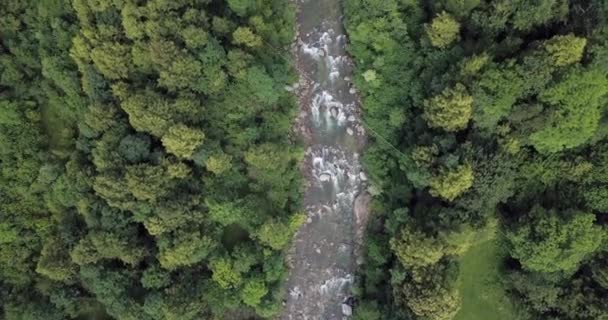 Veduta aerea del fiume che scorre attraverso rocce di montagna in una giornata di sole estivo. Su entrambi i lati foresta verde — Video Stock