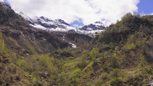 Vista aérea do vale da montanha na temporada de outono. Pinhal descansando na encosta da montanha, neve coberto gama de montanhas no fundo. Céu azul e nublado. — Vídeo de Stock