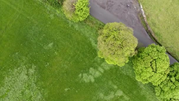 Hava manzaralı yeşil İrlanda iç saha manzarası. İrlanda 'daki yeşil ağaçlar, çayırlar ve mezarlıklar için insansız hava aracı bakış açısı. Etrafta kimse yok, sadece yol var.. — Stok video