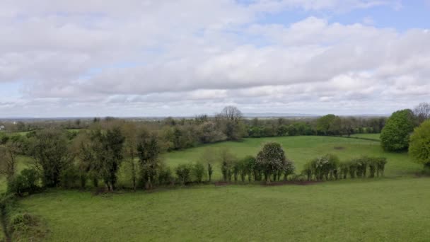 Αεροφωτογραφία των ιρλανδικών πράσινων αγροτικών περιοχών κατά τη διάρκεια μιας καλοκαιρινής ημέρας στην Ιρλανδία. Εξοχή και δέντρα στο βάθος, σύννεφα στον ουρανό. Αίσθηση ελευθερίας, αγνότητας, ελευθερίας, παρθένου, άγριας φύσης — Αρχείο Βίντεο