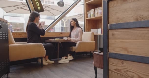 Vista Lateral Duas Mulheres Negócios Adultas Sentadas Conversando Bar Tomando — Vídeo de Stock