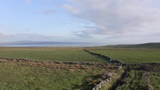 Widok Lotu Ptaka Irlandzkie Zielone Pola Wiejskie Podczas Letniego Zachodu — Wideo stockowe