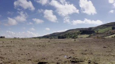 Kuru ve kurak arazi görüntüleri, kırsal kesimin manzarası. Tepe, yeşil ağaçlar, bulutlu mavi gökyüzü, arka planda saman balyaları. Yüksek kalite 4k görüntü